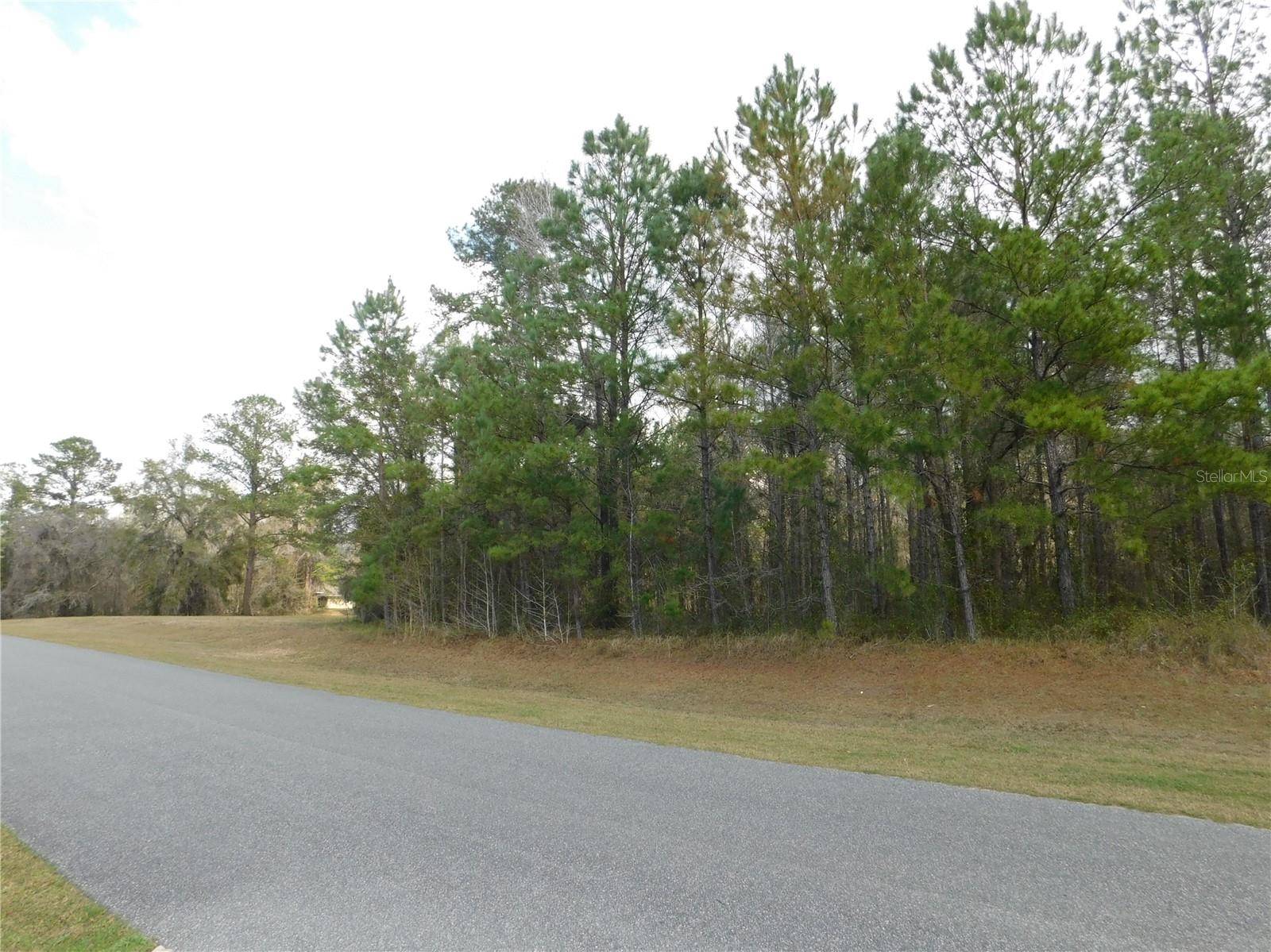 Williston, FL 32696,Lot 4 NW 145 AVE