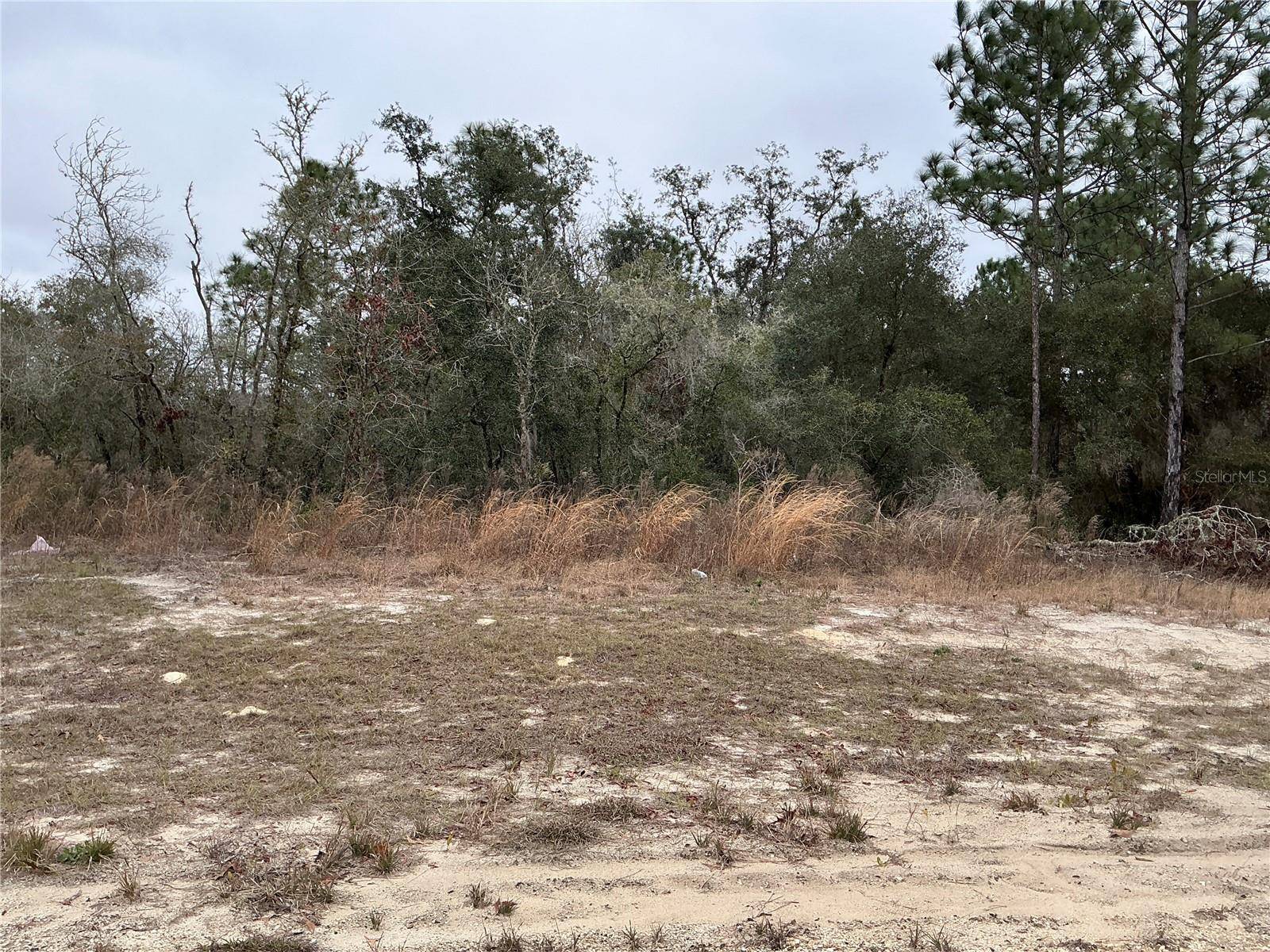 Ocala, FL 34473,LOT 27 SW 77TH AVE