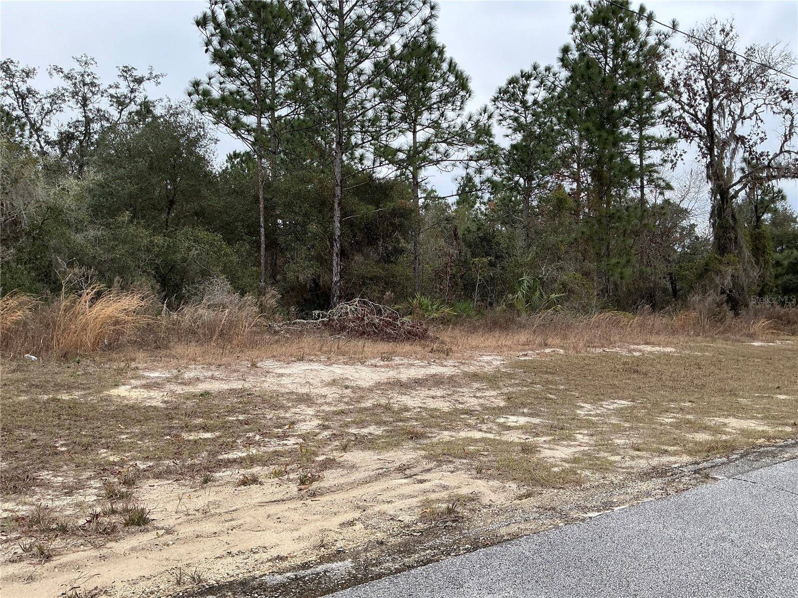 Ocala, FL 34473,LOT 27 SW 77TH AVE
