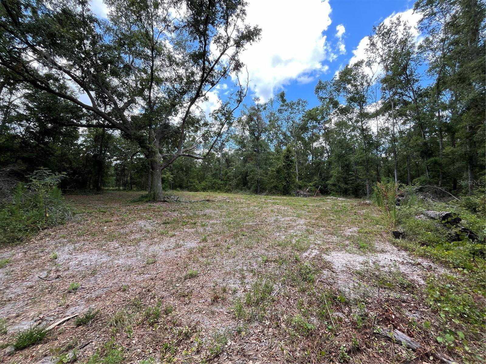 Live Oak, FL 32060,00 98TH ST