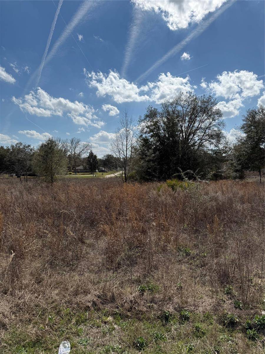 Dunnellon, FL 34432,TBD SW 100TH LN