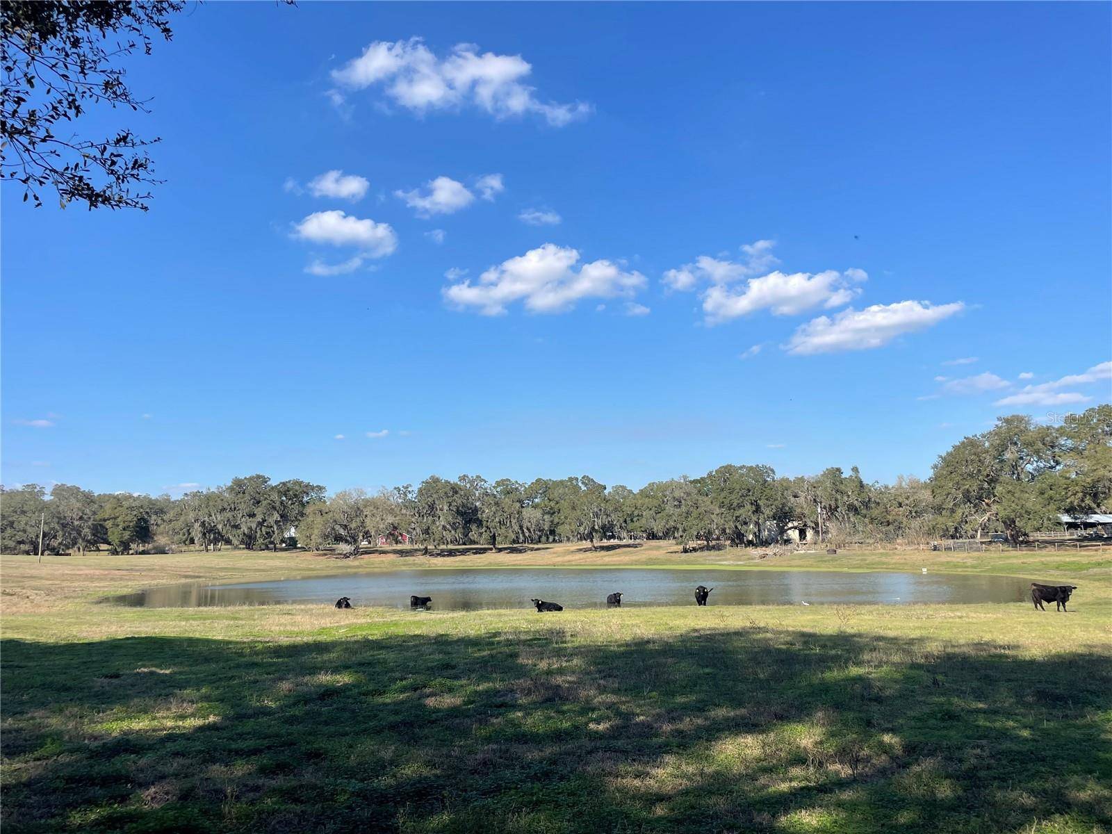 Weirsdale, FL 32195,TBD SE 155 AVE