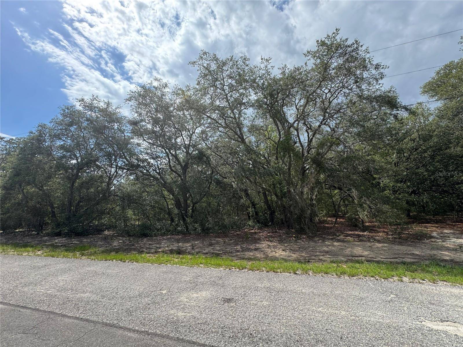Ocklawaha, FL 32179,0 FISHER TER ##7