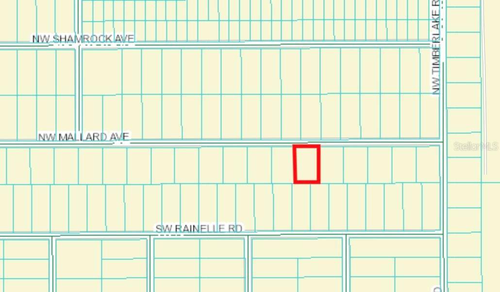 Dunnellon, FL 34431,00 NW MALLARD AVE