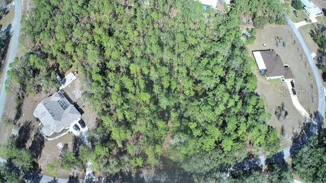 Dunnellon, FL 34431,TBD SW 84TH LOOP