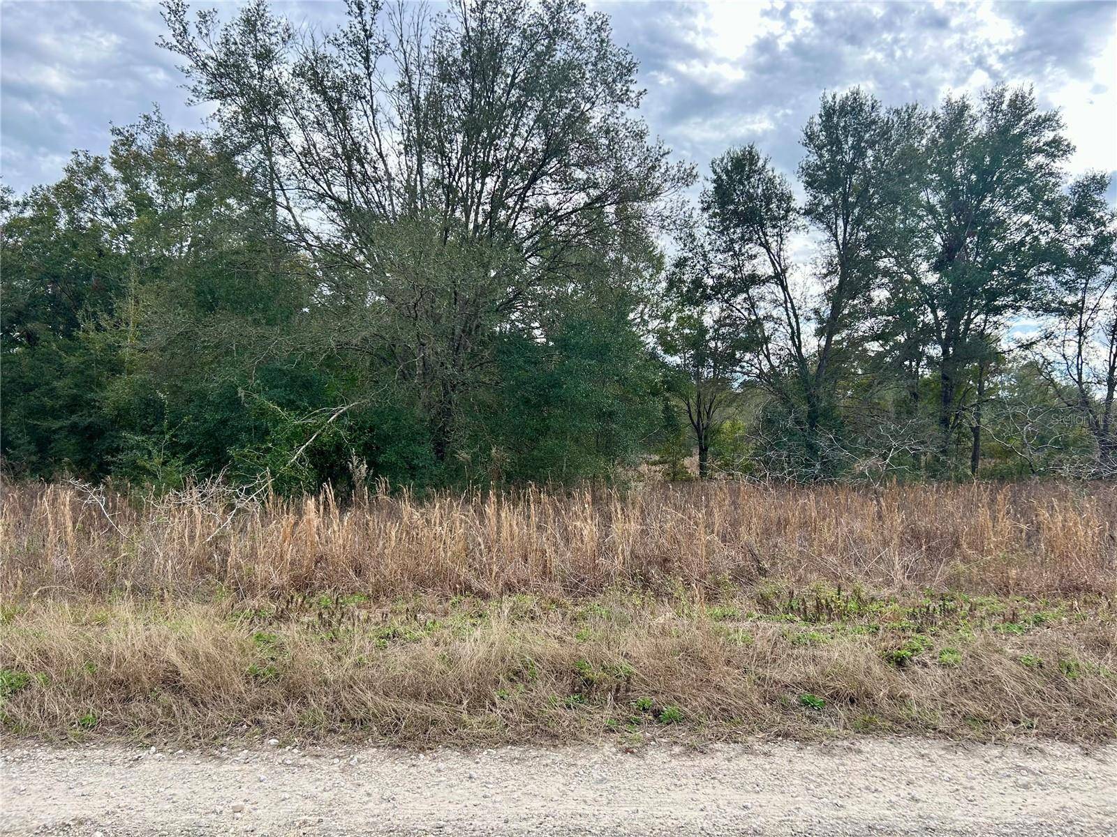 Dunnellon, FL 34432,Lot 151 SW 103RD PL