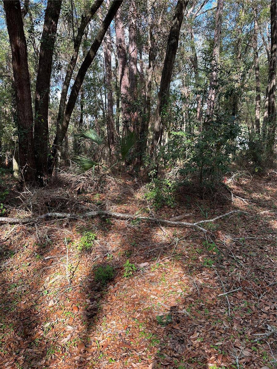 Dunnellon, FL 34432,0000 SW 189TH CT. DUNNELLON FL