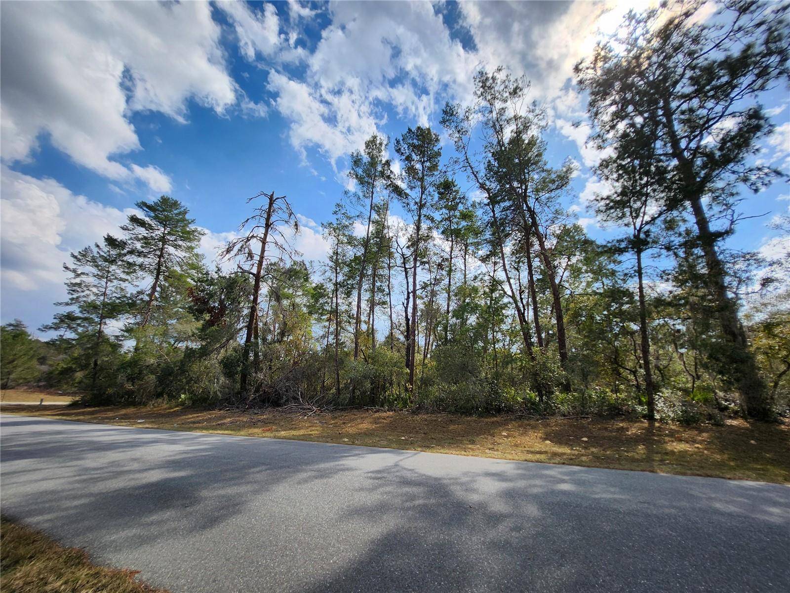 Ocala, FL 34473,TBD SW 32 CIR