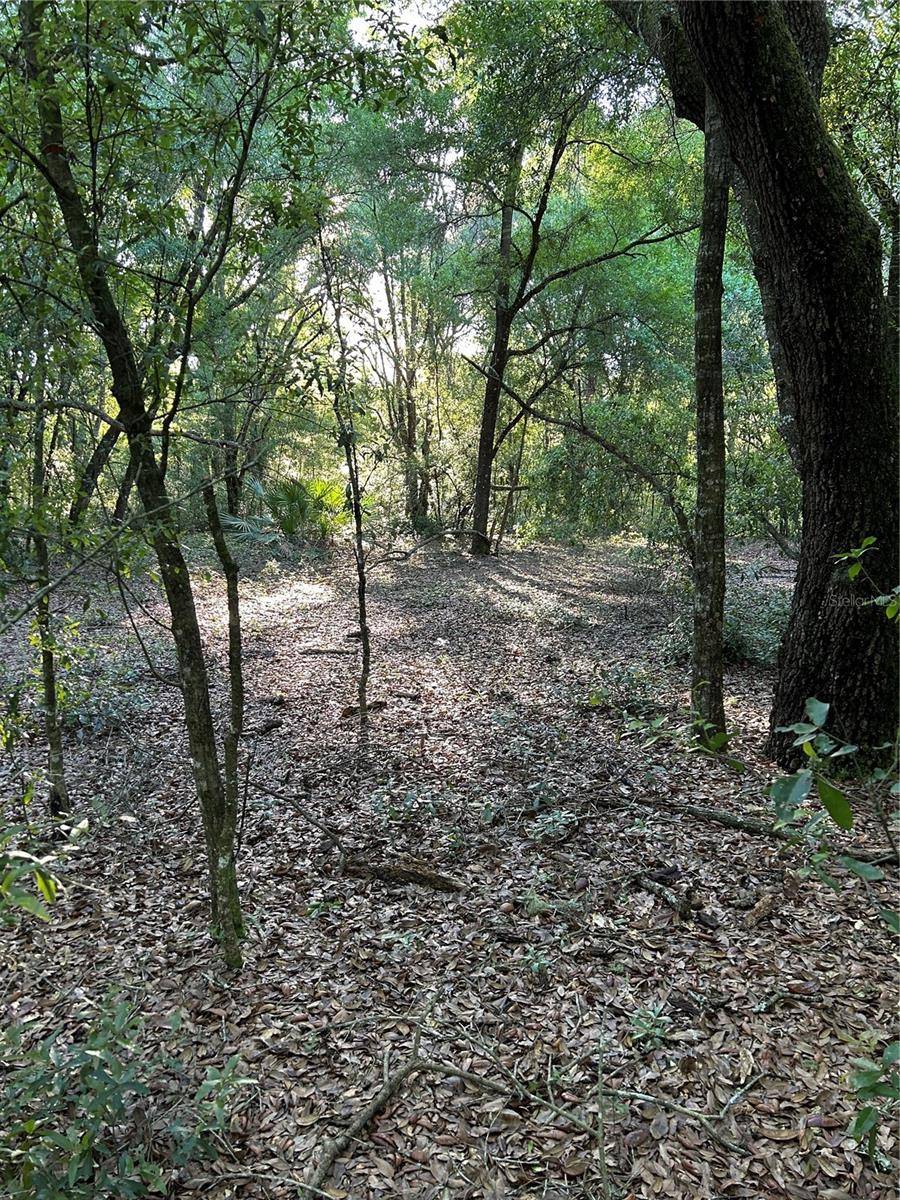 Dunnellon, FL 34432,SW HWY 484