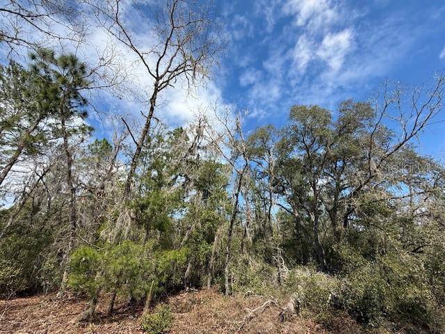 Dunnellon, FL 34432,TBD SE 158TH LN
