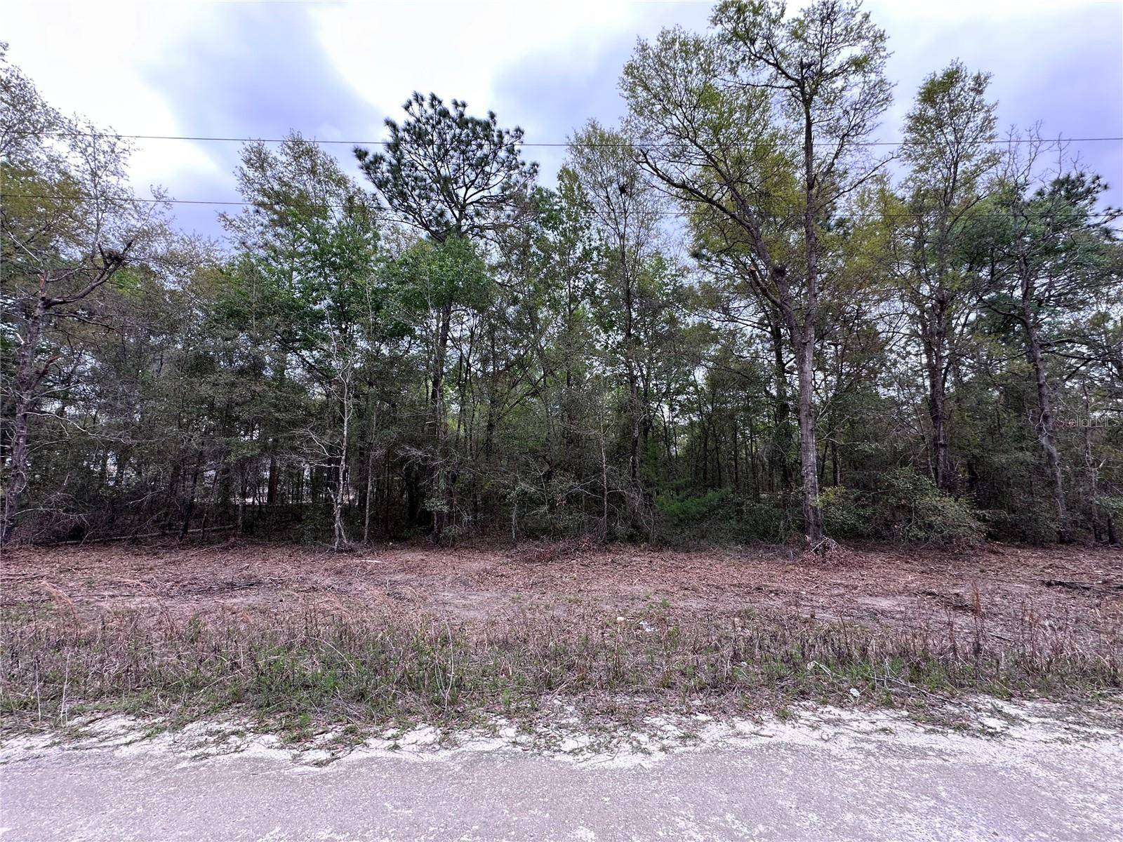 Williston, FL 32696,481 NE 154TH TER