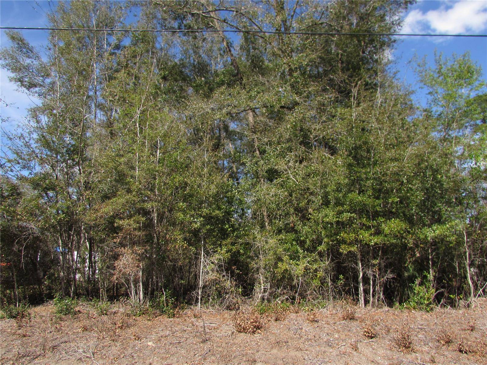 Dunnellon, FL 34431,Lot 32 SW ROBIN DR