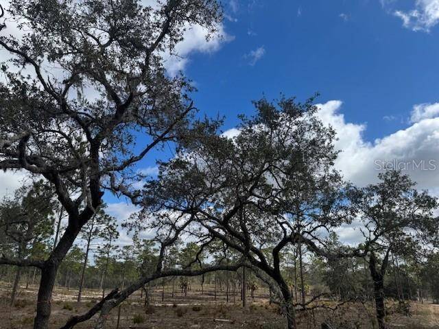 Morriston, FL 32668,LOT D SE STATE ROAD 121