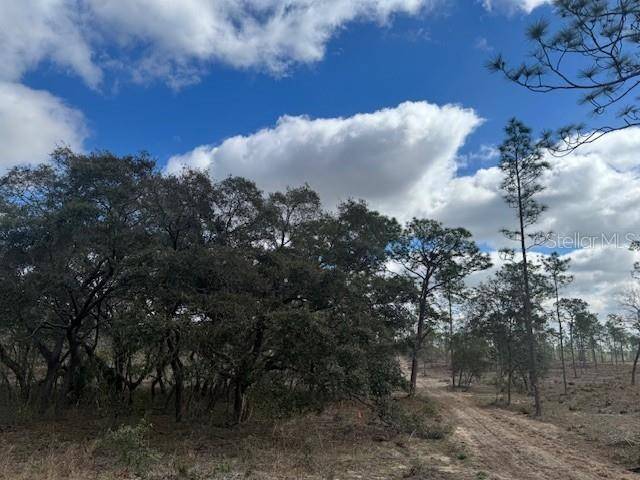 Morriston, FL 32668,LOT D SE STATE ROAD 121