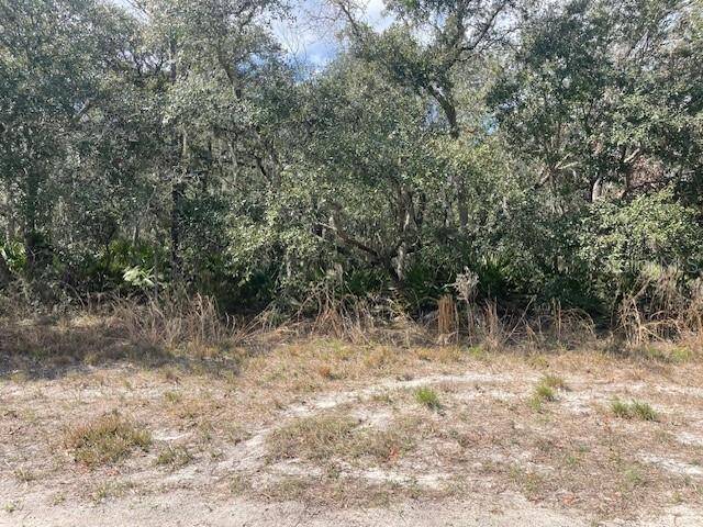 Ocala, FL 34473,0 SW 148TH PLACE RD