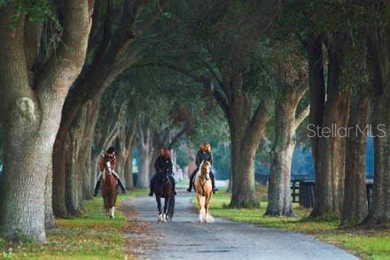 Ocala, FL 34480,0 SE 116TH PLACE RD