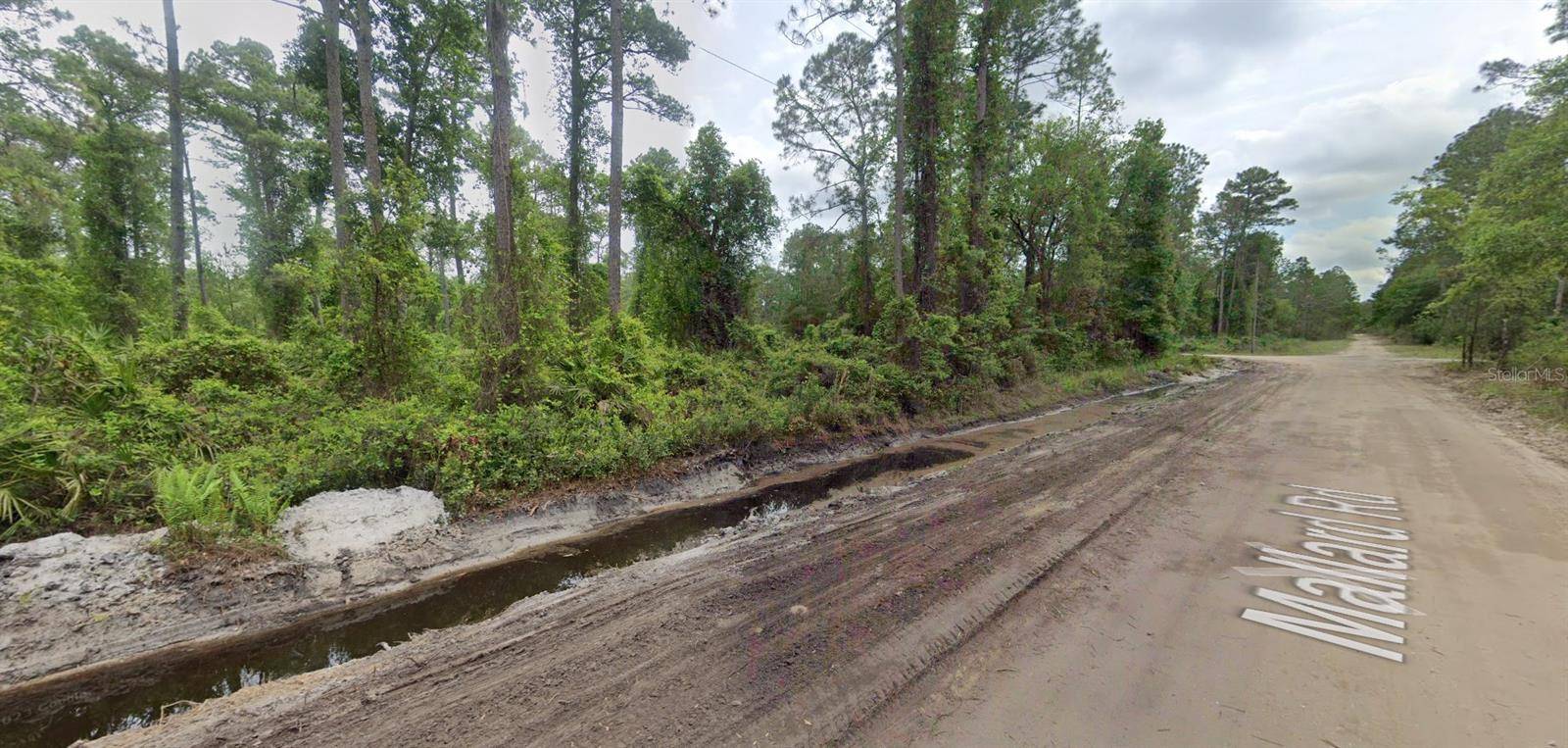 Satsuma, FL 32189,125 MALLARD RD