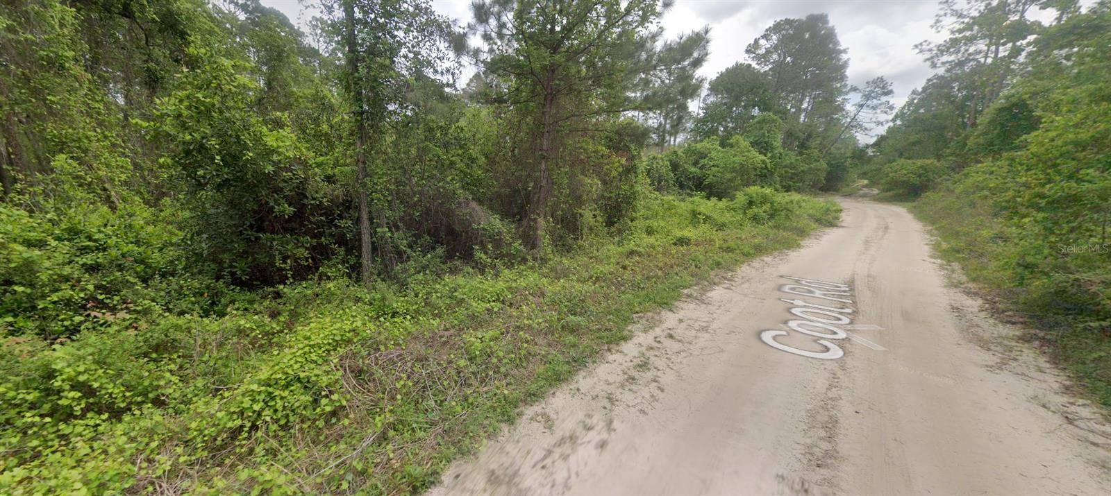 Satsuma, FL 32189,120 COOT RD