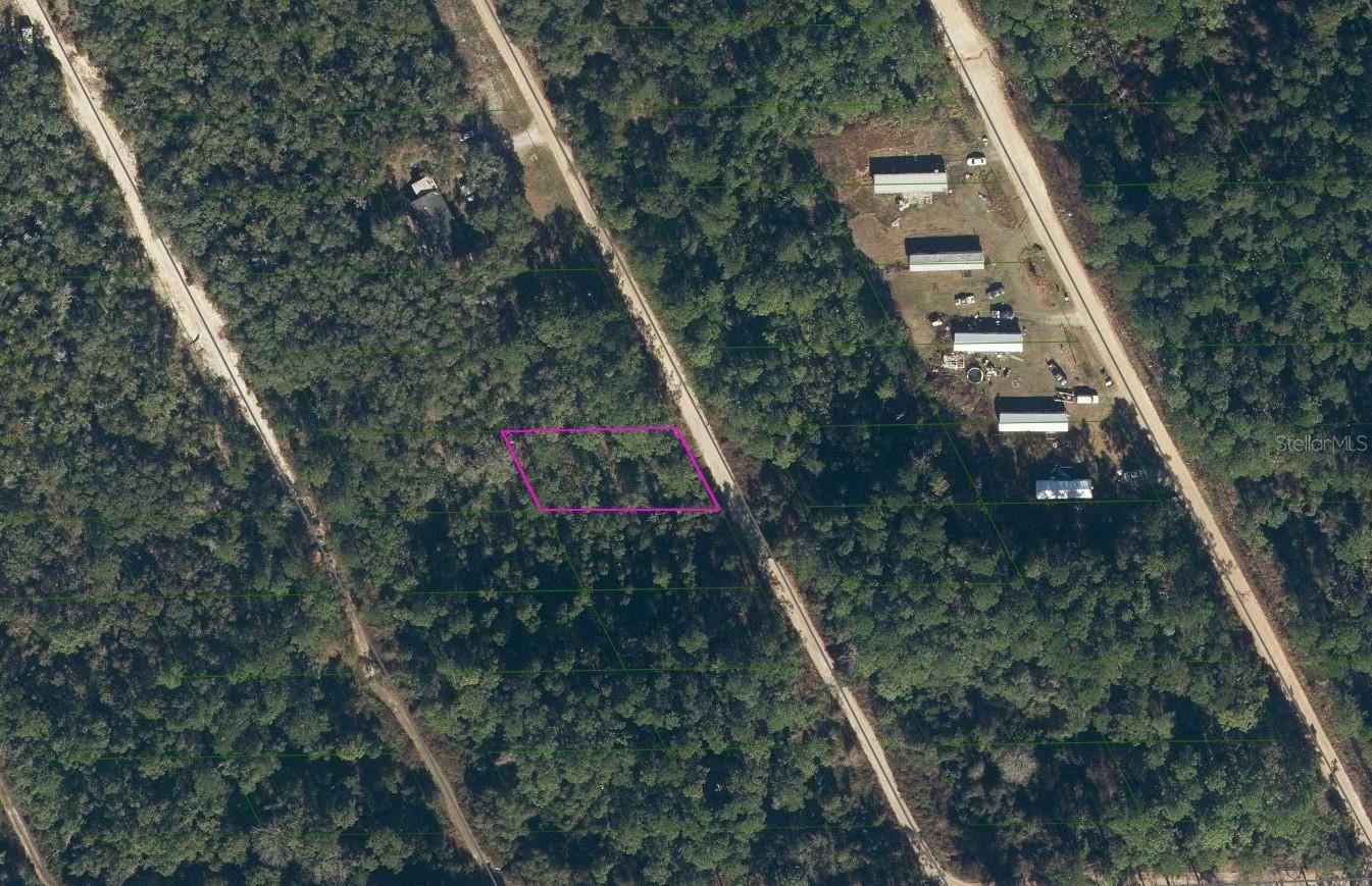 Satsuma, FL 32189,117 COOT RD