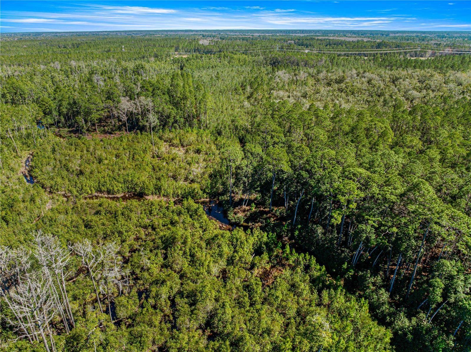 Fort Mc Coy, FL 32134,TBD NE 212 STREET RD