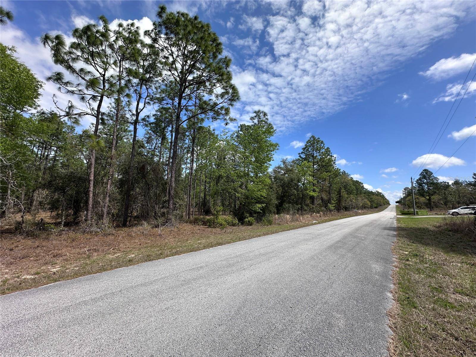 Dunnellon, FL 34431,TBD SW ANCHOR BLVD