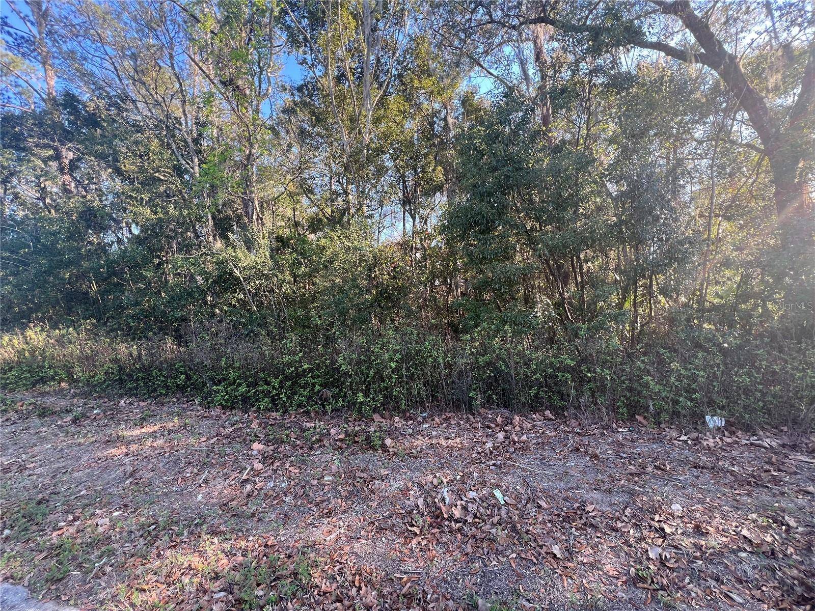 Ocala, FL 34470,NE 14TH ST