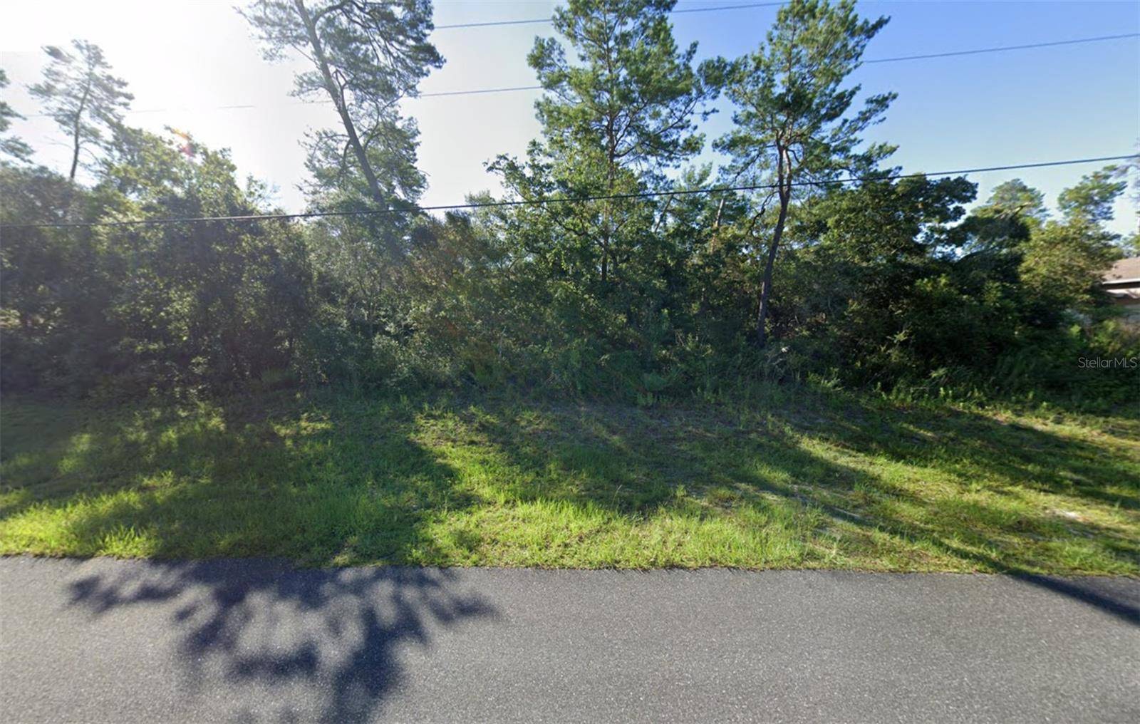 Ocala, FL 34473,0 SW 156TH LOOP