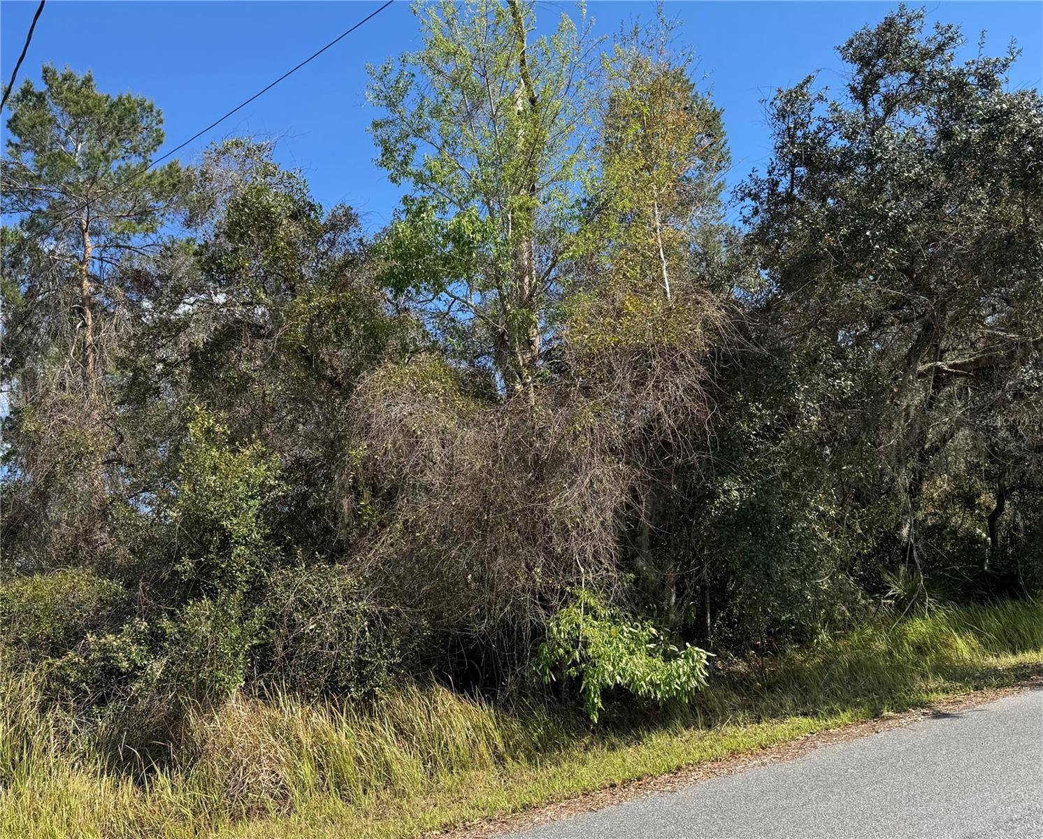 Ocala, FL 34472,164 OAK CIR