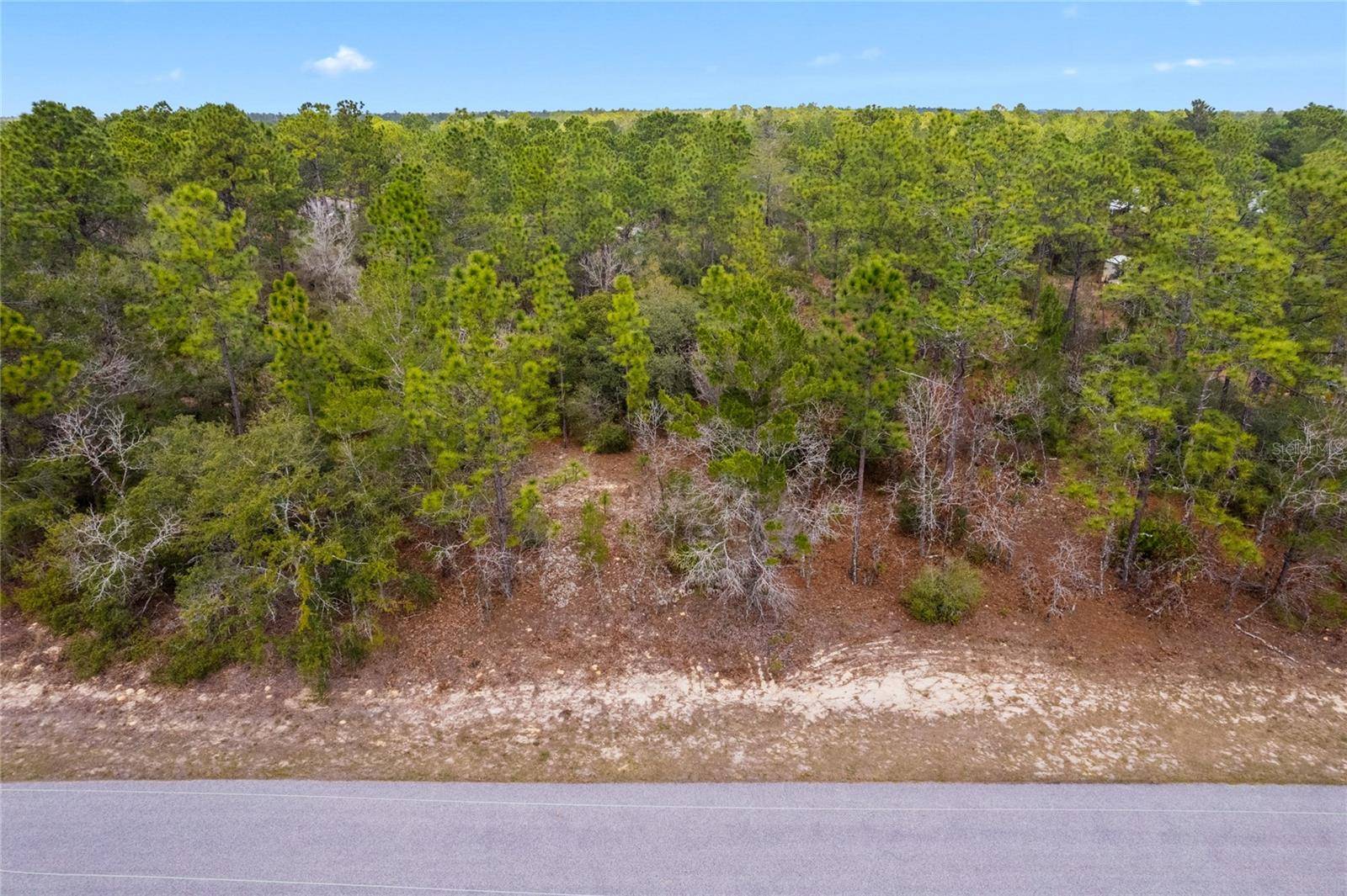 Citrus Springs, FL 34433,4201 W FOUNTAIN LN