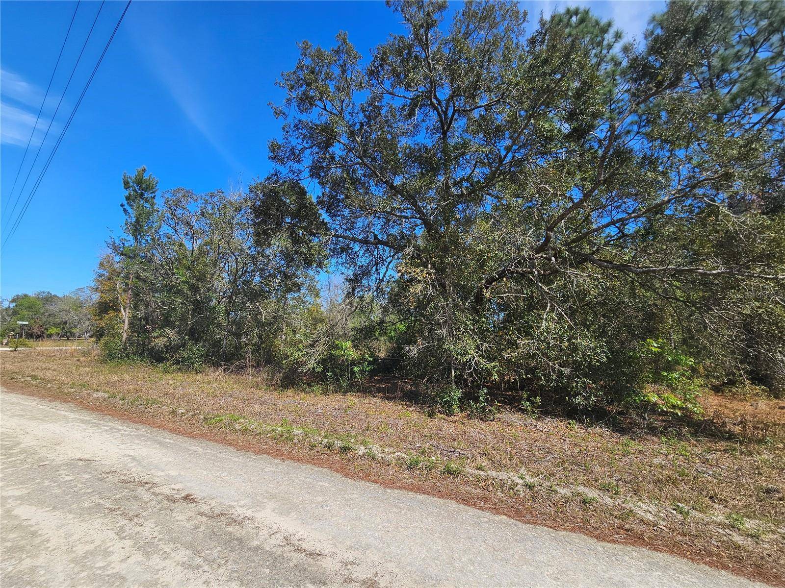 Williston, FL 32696,1791 NE 129TH AVE