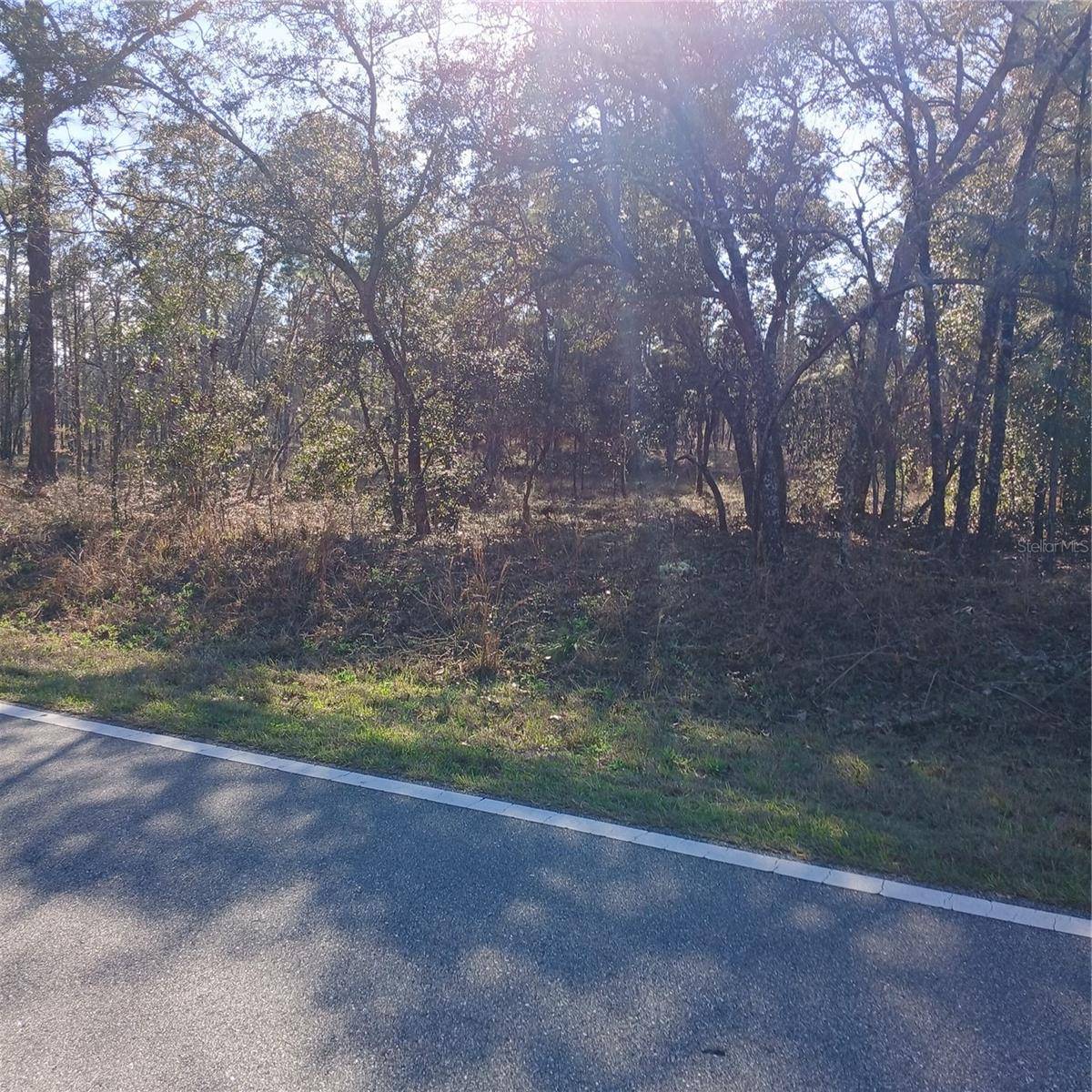 Dunnellon, FL 34431,TBD NW RIDGEWOOD RD
