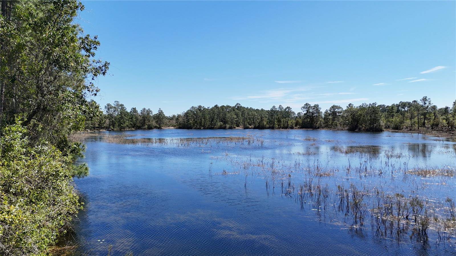 Ocklawaha, FL 32179,LOT 45 FISHER WAY