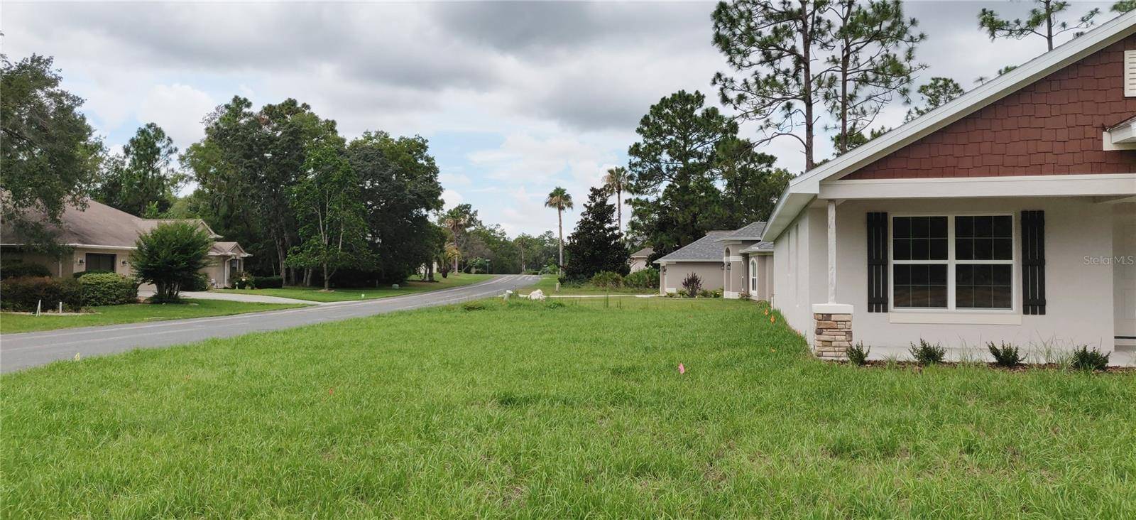 Homosassa, FL 34446,6 CYCLAMEN CT