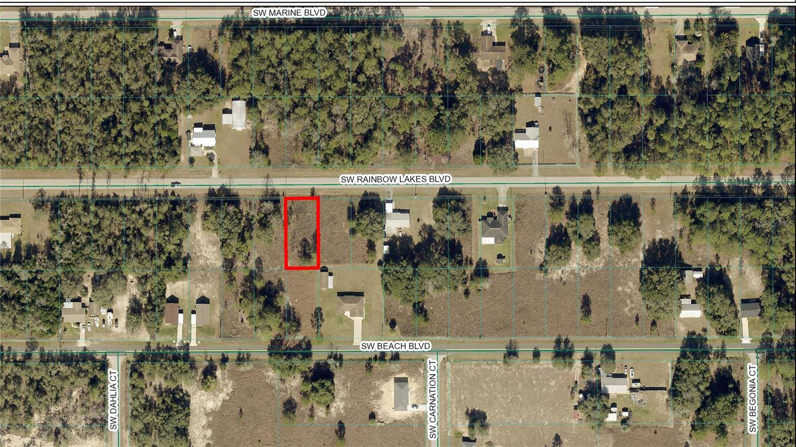 Dunnellon, FL 34431,TBD SW RAINBOW LAKES BLVD