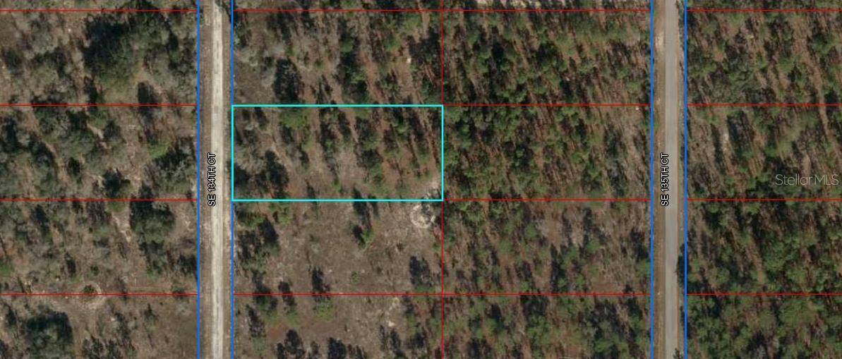 Dunnellon, FL 34431,TBD SE 134TH CT
