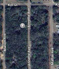 Interlachen, FL 32148,ANNETTE AVE