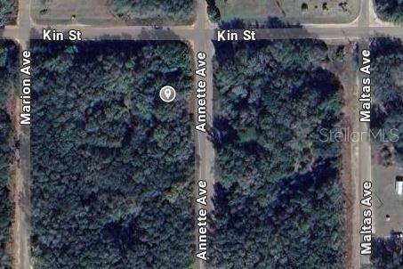 Interlachen, FL 32148,ANNETTE AVE