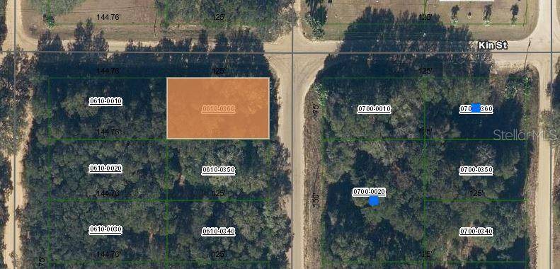 Interlachen, FL 32148,ANNETTE AVE