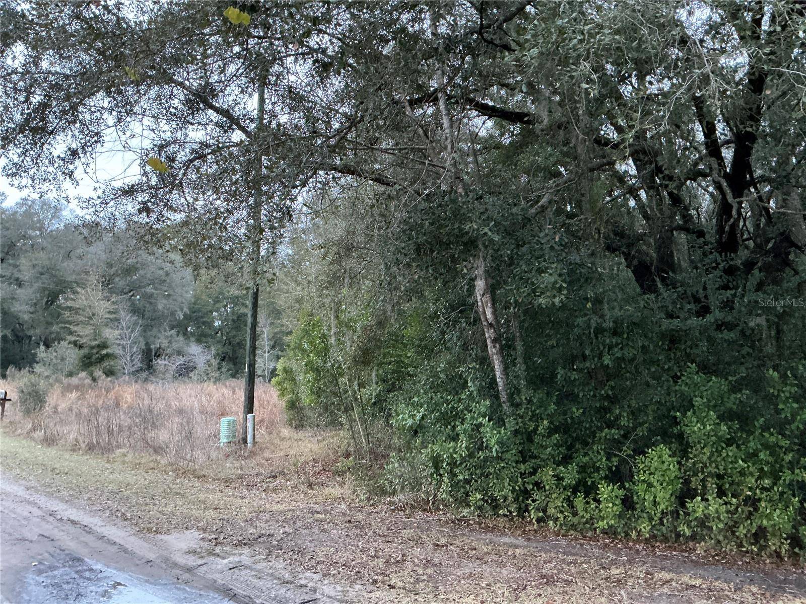 Summerfield, FL 34491,0 SE 143RD PL