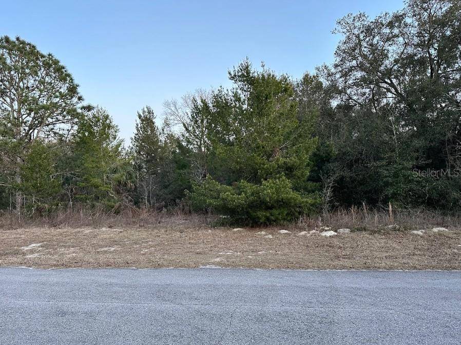 Ocala, FL 34473,0 SW 55TH COURT RD