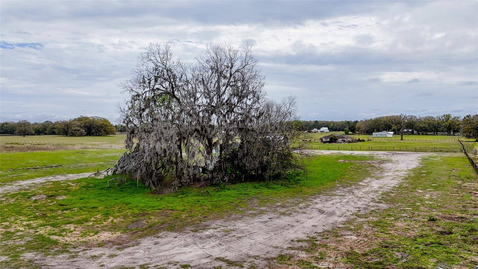 Williston, FL 32696,NE 160TH AVE