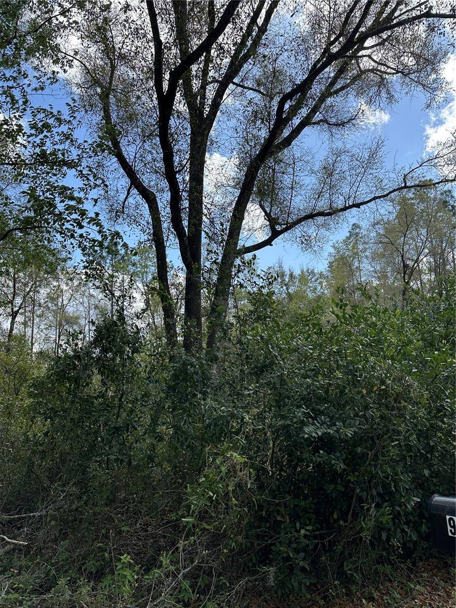 Dunnellon, FL 34432,00 SW 193 CIR