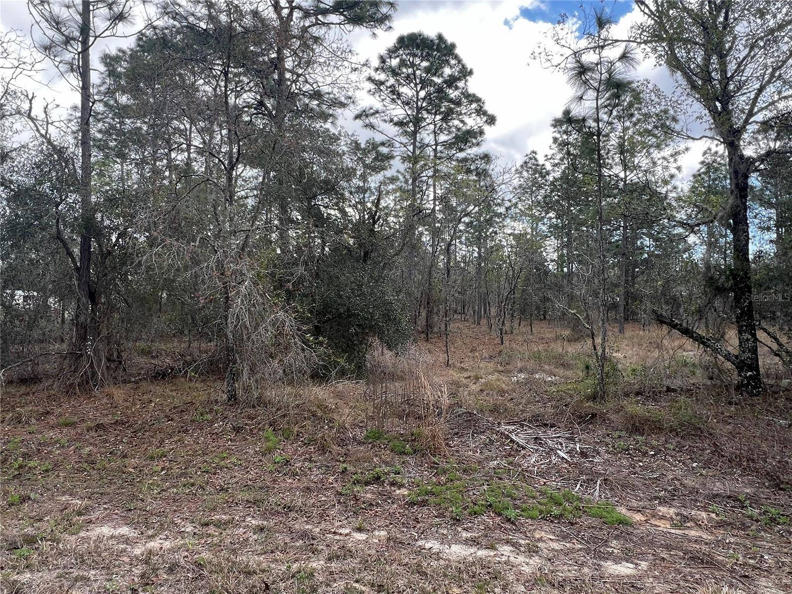 Dunnellon, FL 34431,Lot 16 SE 136 TER