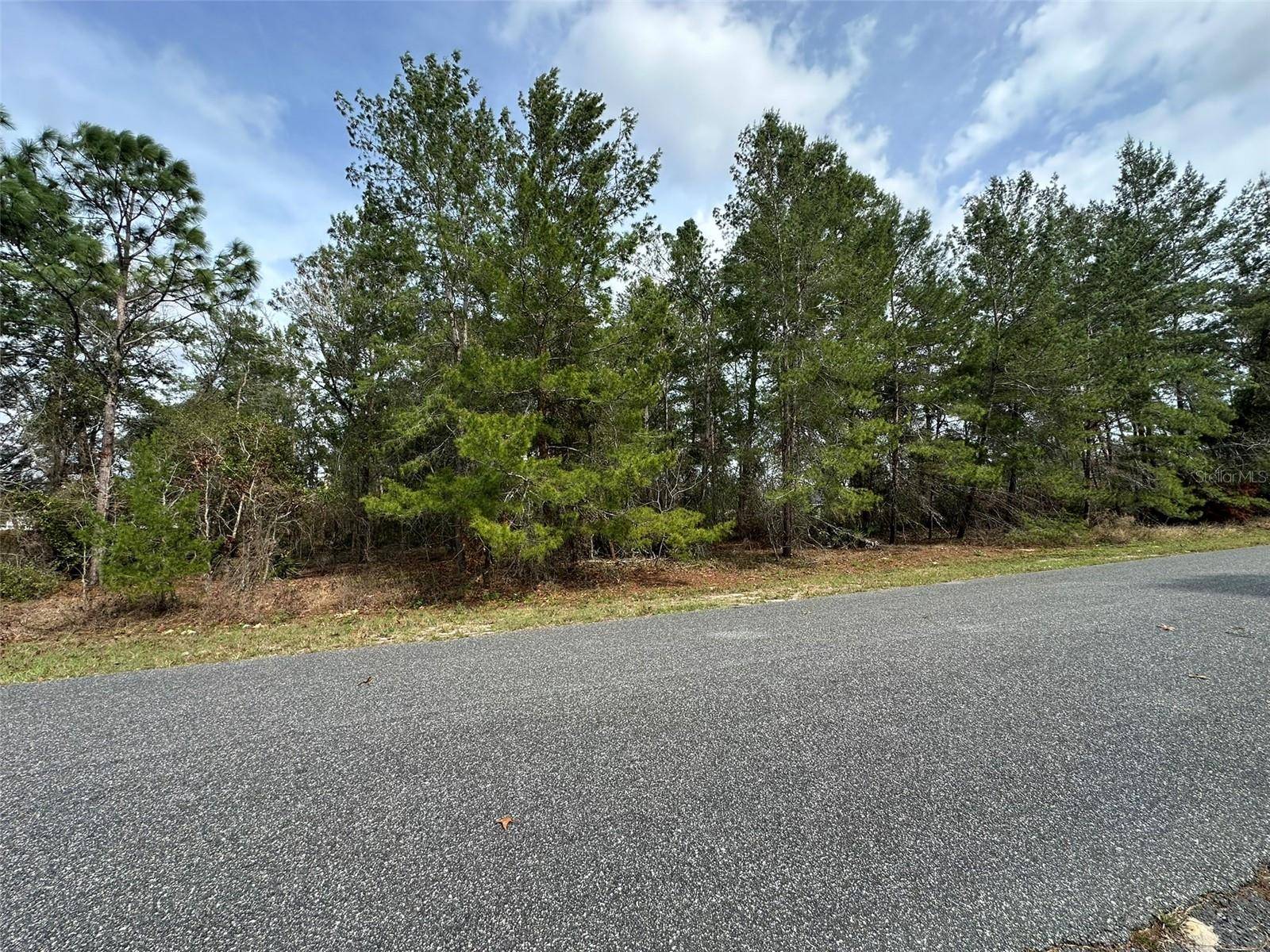 Ocala, FL 34476,0 SW 110TH LN