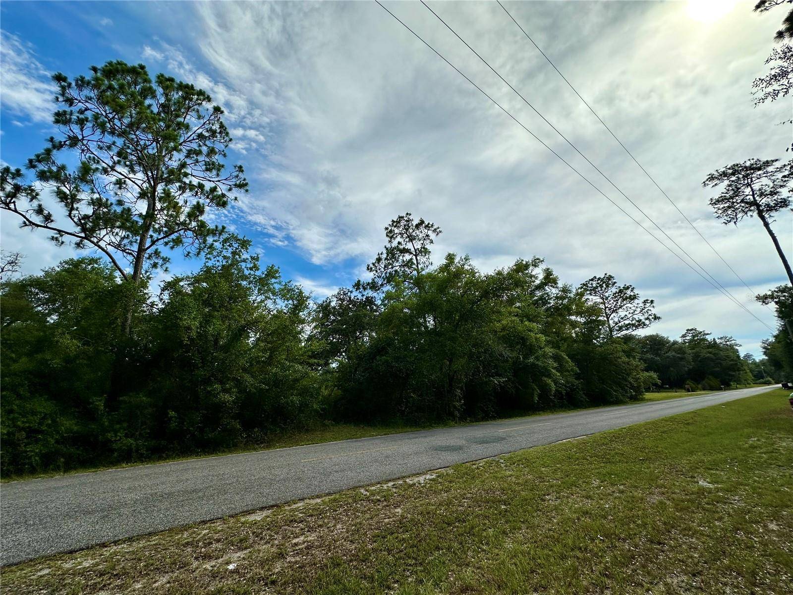 Fort Mc Coy, FL 32134,TBD NE 220TH ST