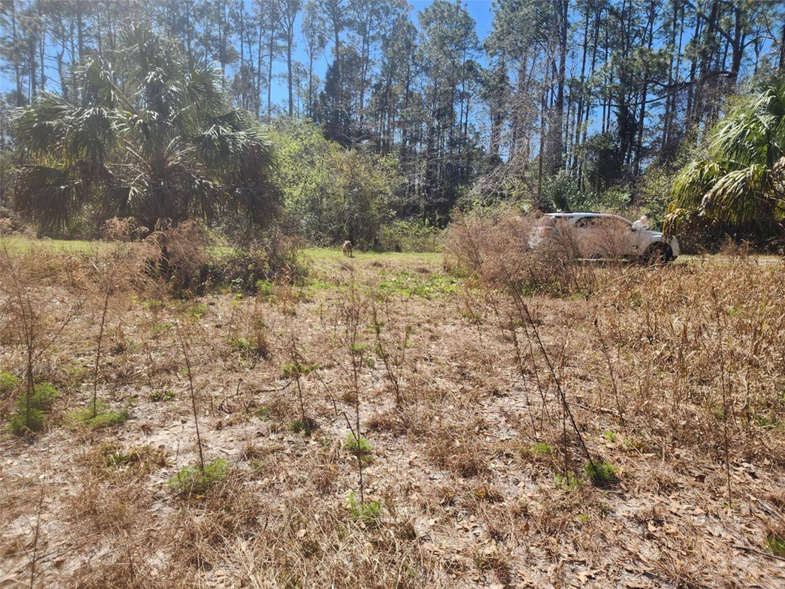 Georgetown, FL 32139,332 REDWOOD BLVD