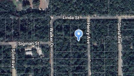 Interlachen, FL 32148,HENRY AVE