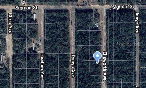 Interlachen, FL 32148,ELLSWORTH AVE