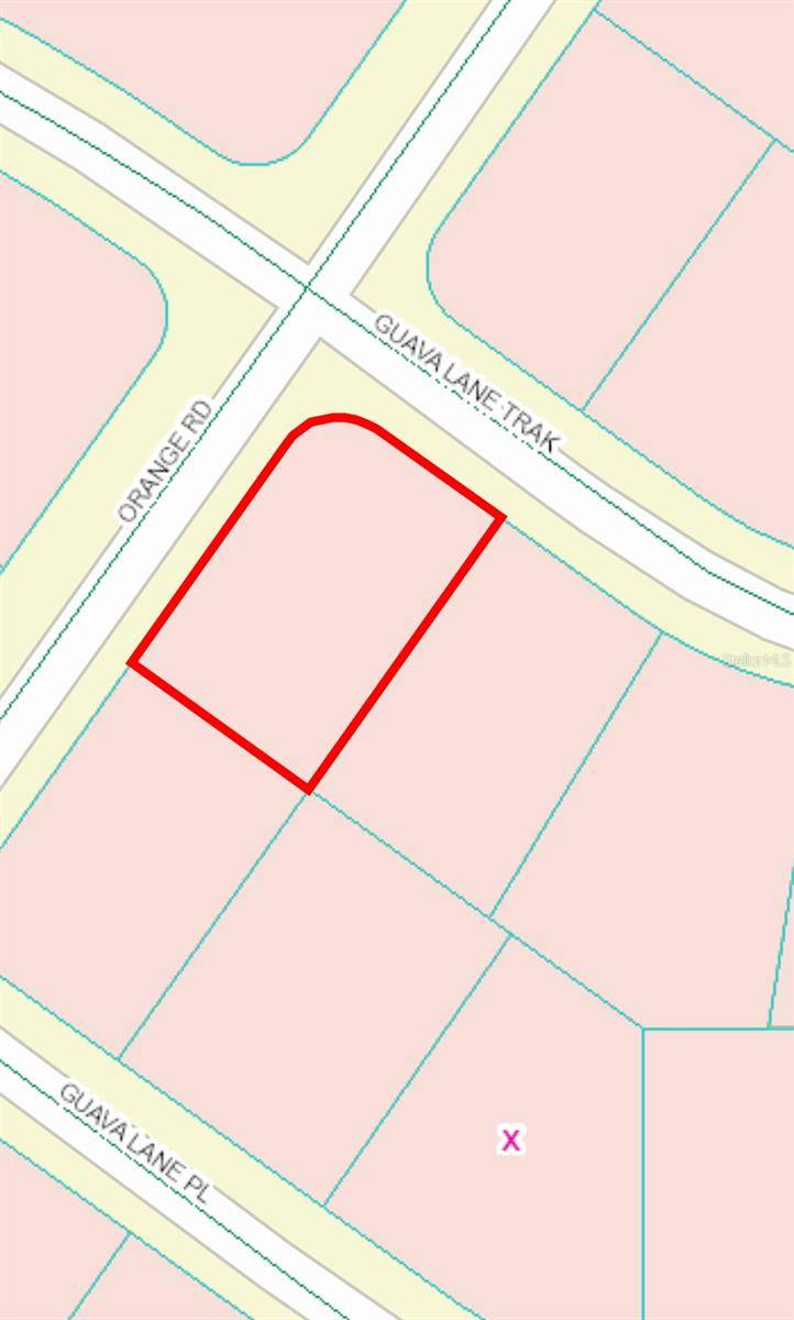 Ocklawaha, FL 32179,0 GUAVA LANE TRAK #Lot 1