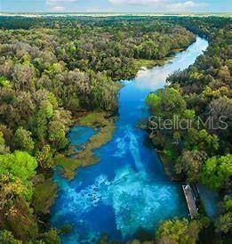 Citrus Springs, FL 34433,8488 N TEMPEST DR